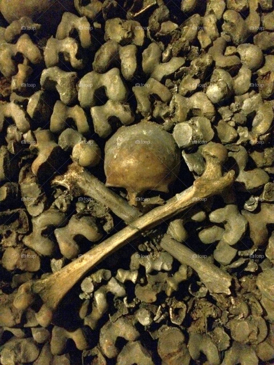 Skull. Skull from catacombs of Paris