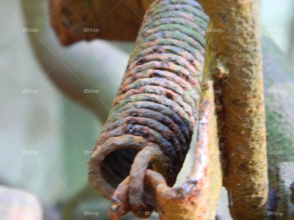rusty coil