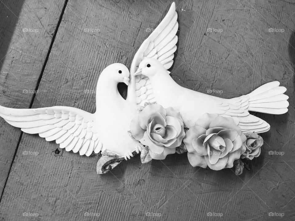 black and white doves and flowers