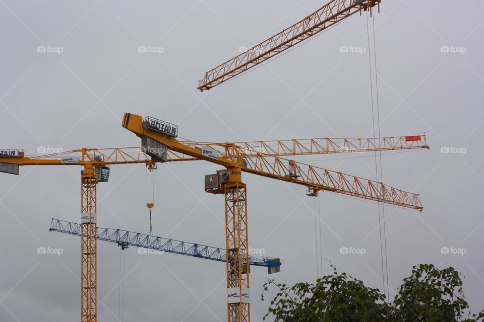 Cranes