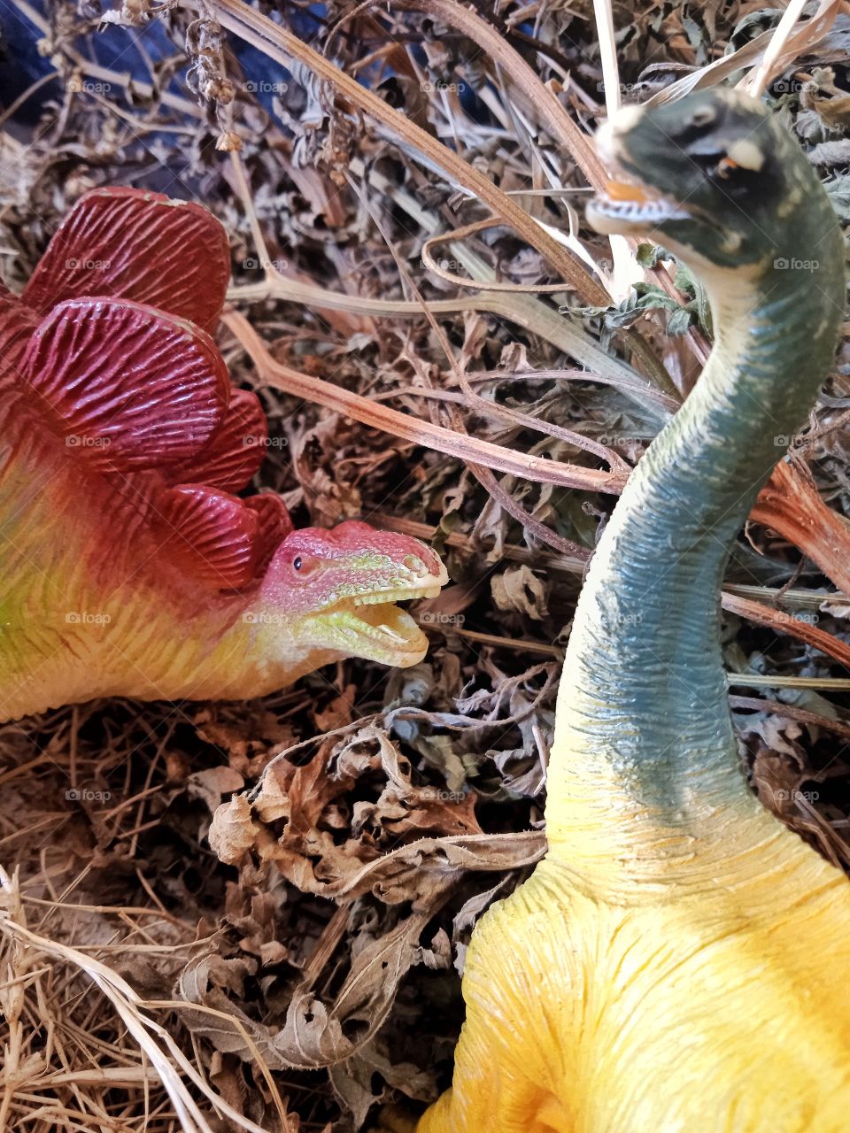 stegosaurus- apatosaurus