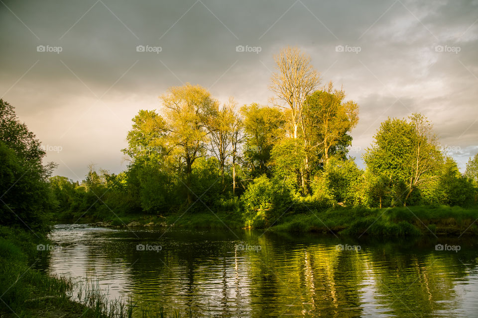 A beautiful, calm evening landscape of summer in country.