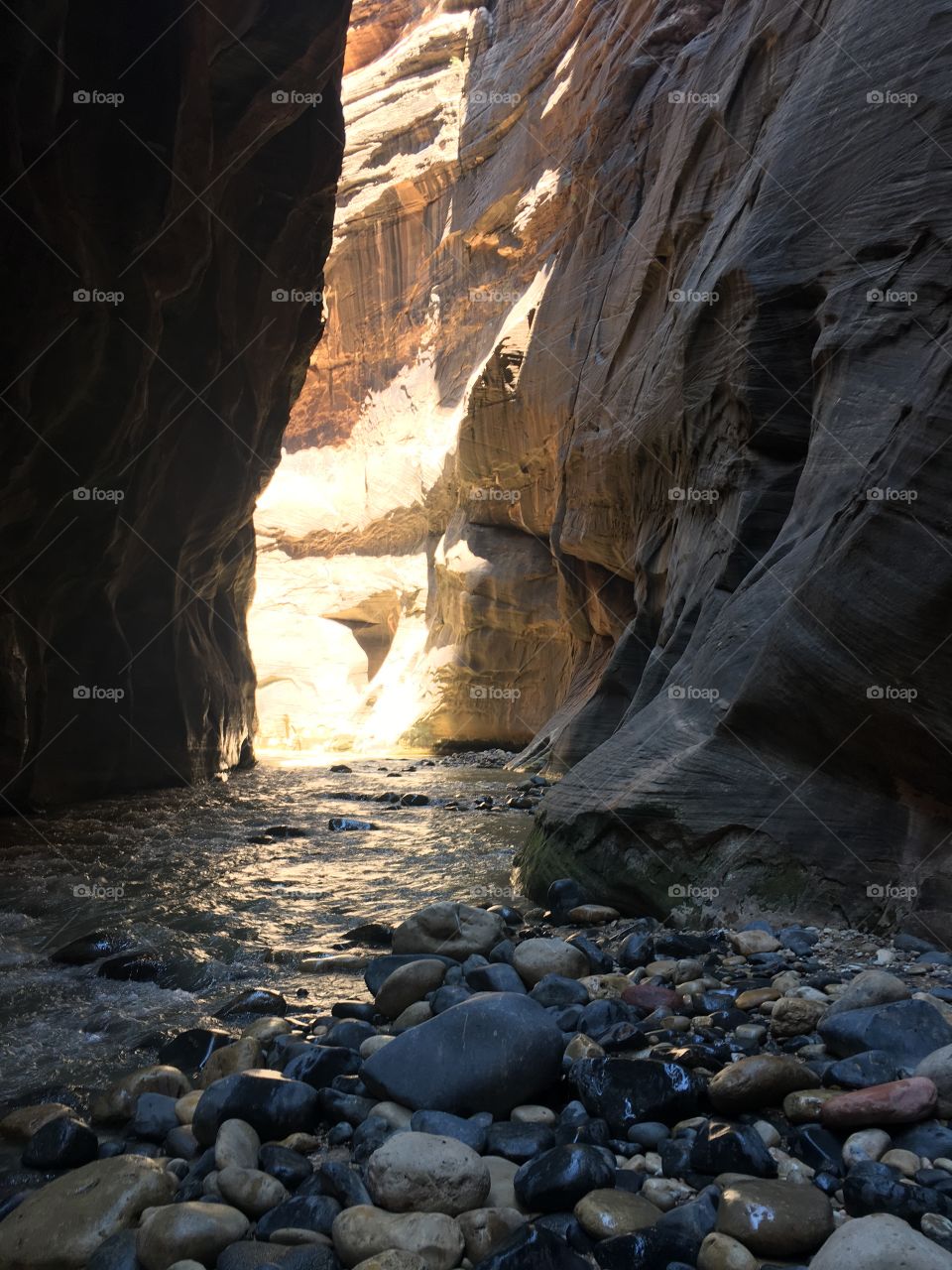 The Virgin River flowing steadily across pebbles though narrow canyon walls in the Narrows in Zion National Park 