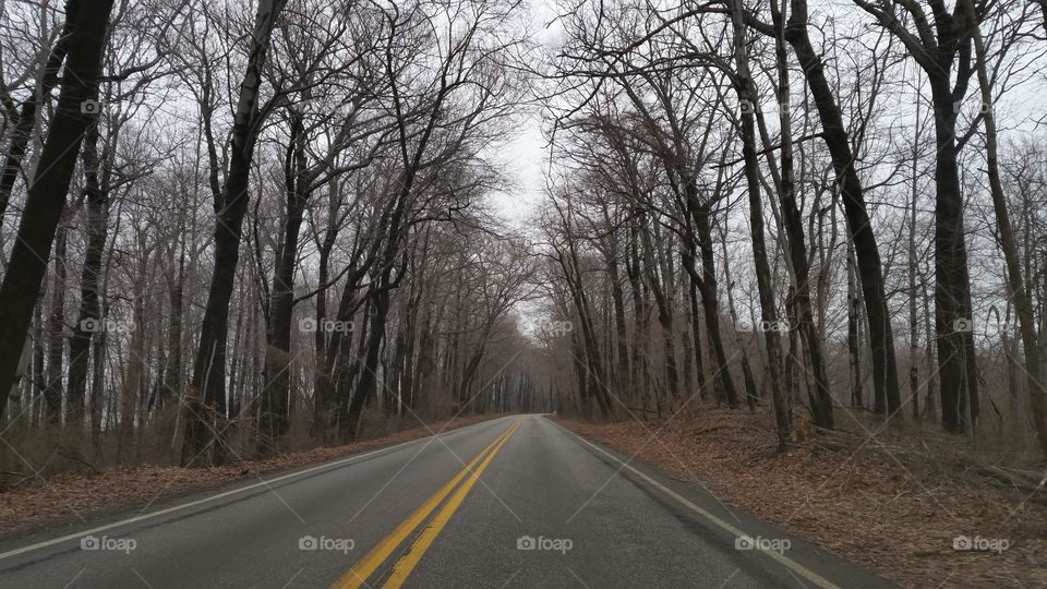 Woods winter road