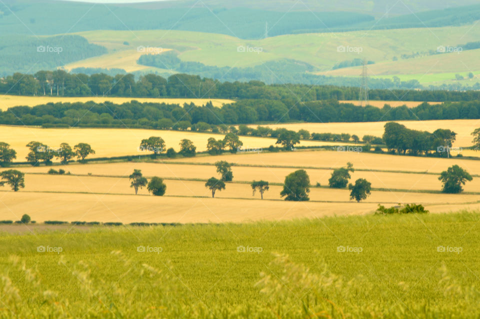 Beautiful view. Rare sunny day in Scotland 