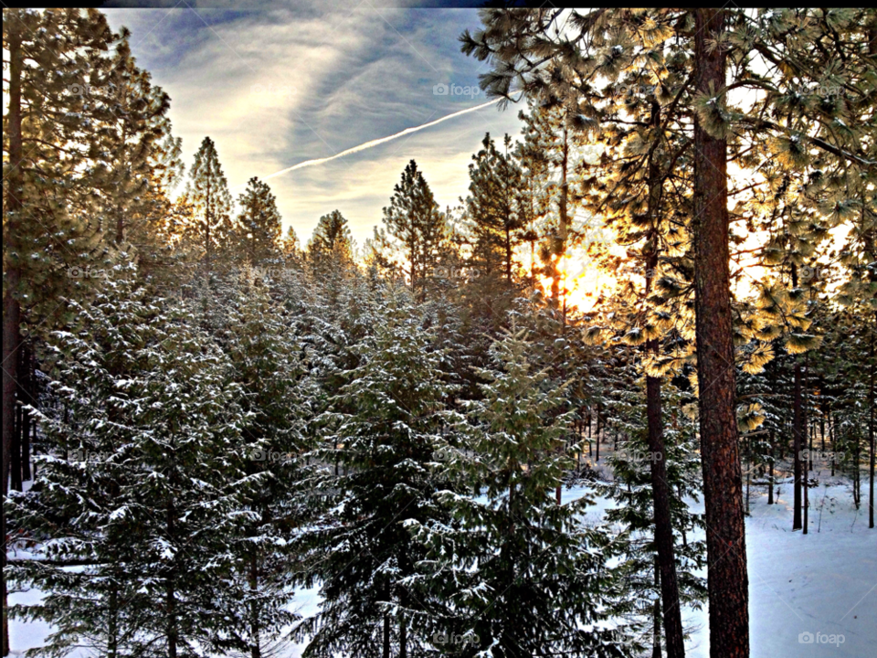Foap Com Coeur D Alene Idaho Snow Winter Landscape By