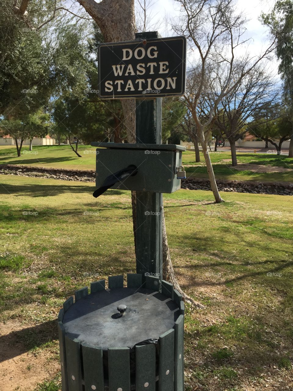 Dog waste station in a park