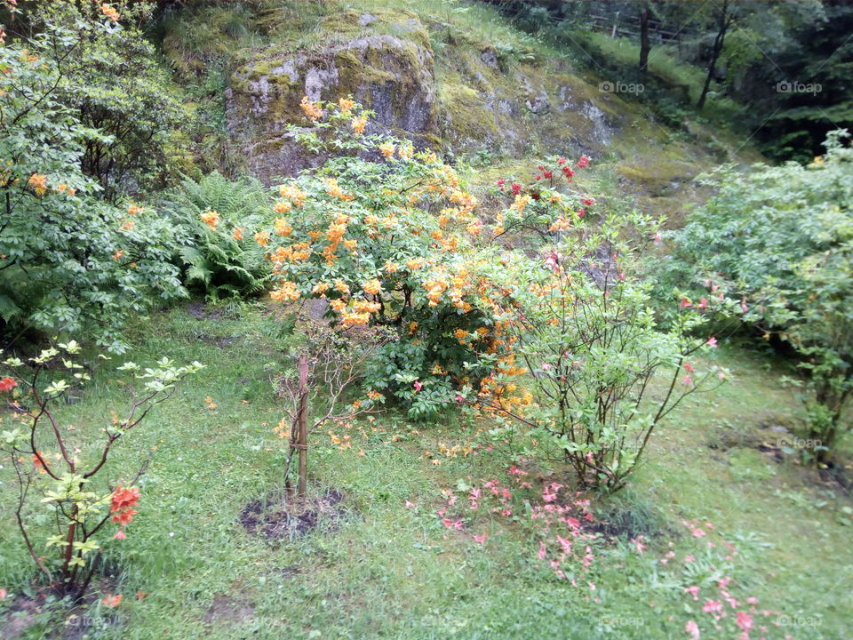 Kurpark in Bad Widbad