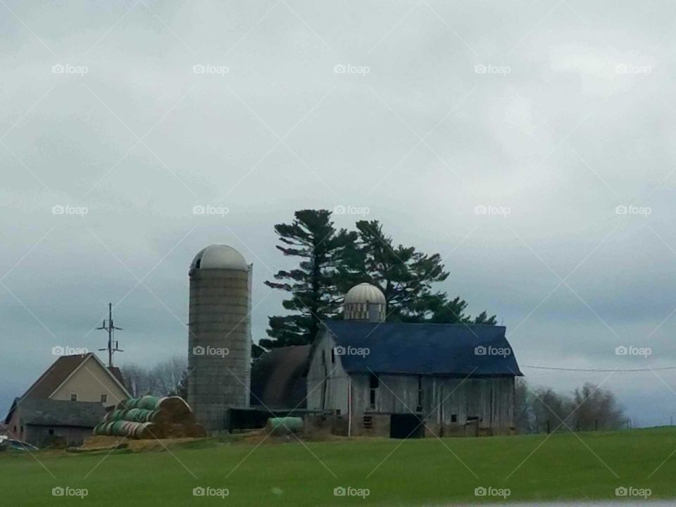 Driving the Back Roads and enjoying everything around us