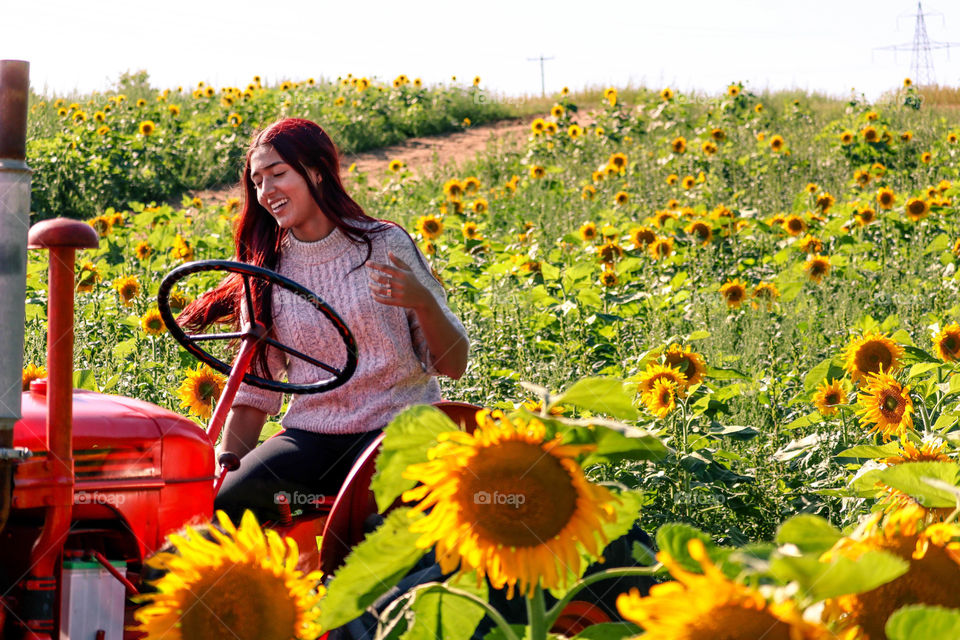 Young woman on a tractor in a field of sunflowers