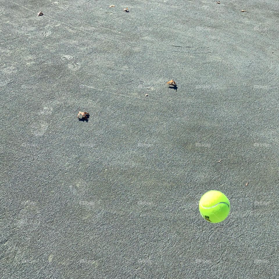 One bouncing tennis ball 