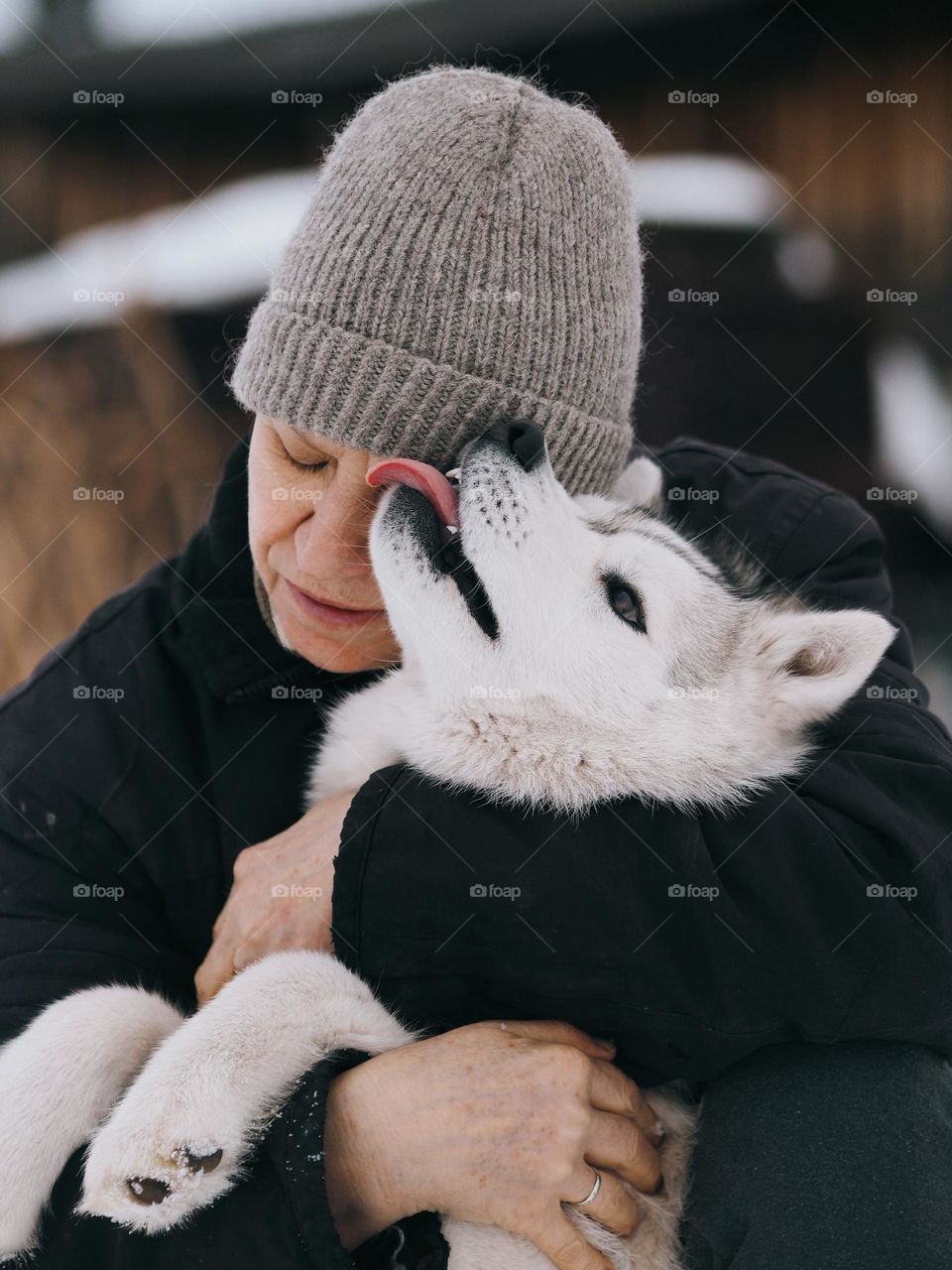 Portrait of adult woman with husky dog in cold winter day, portrait of woman.