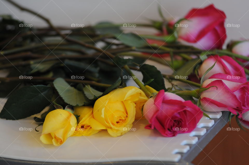 Bouquet of - Flowers