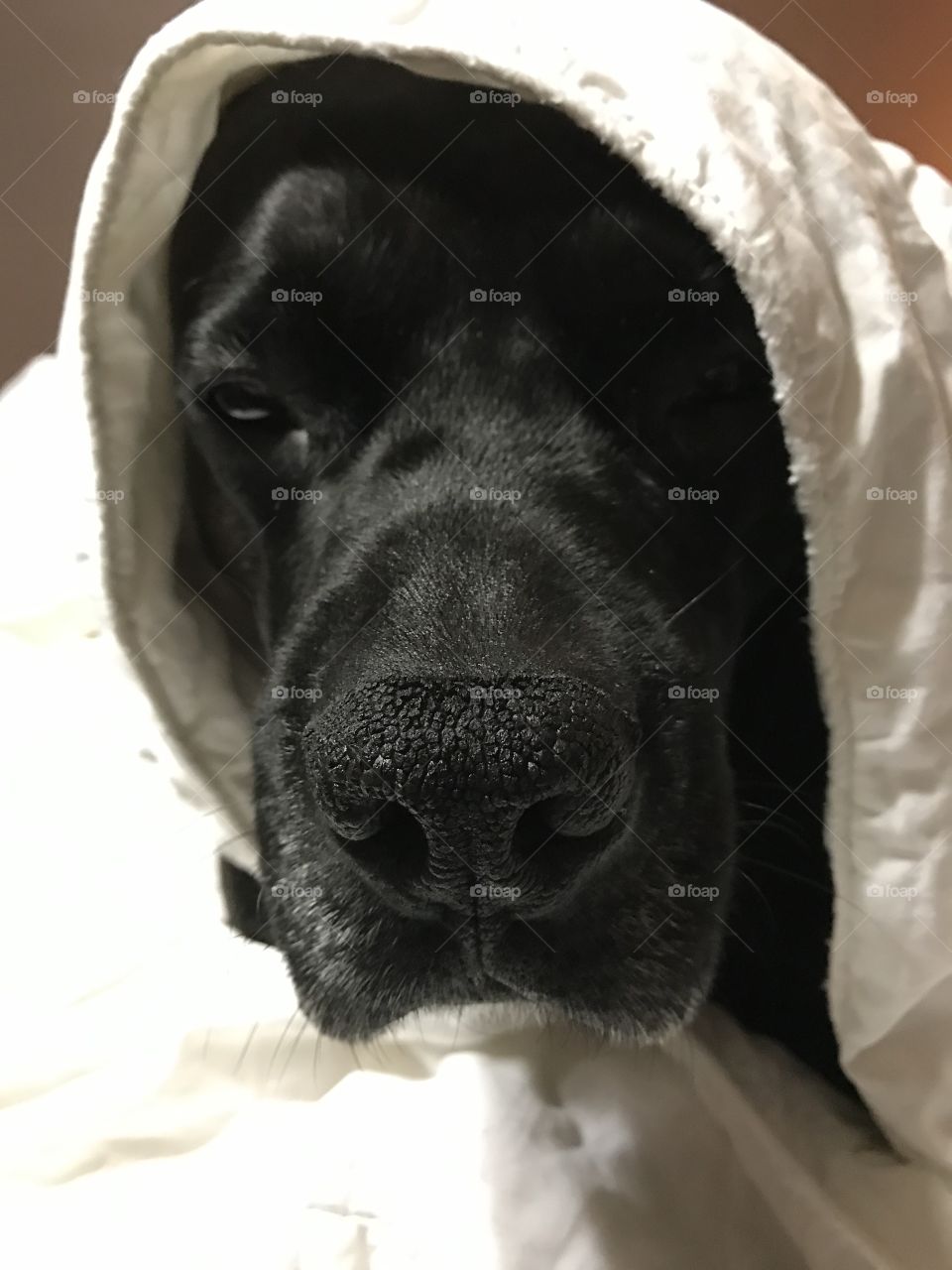 Dexter caught undercover