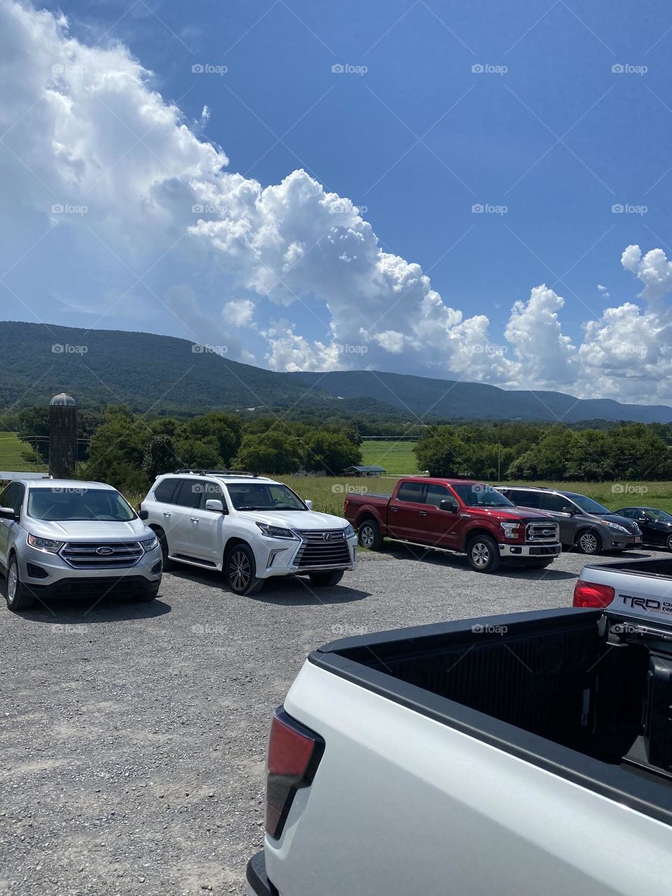 Mountain View’s Tennessee 