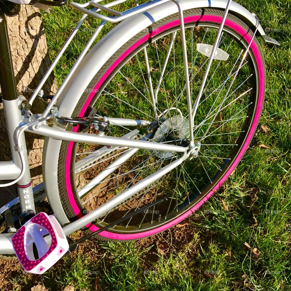 Bicycle Wheel & Pedal
