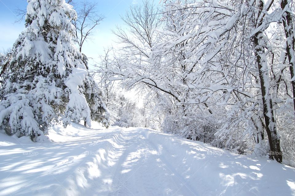 Blue sky and sunshine after a winter storm accumulating over a foot of snow