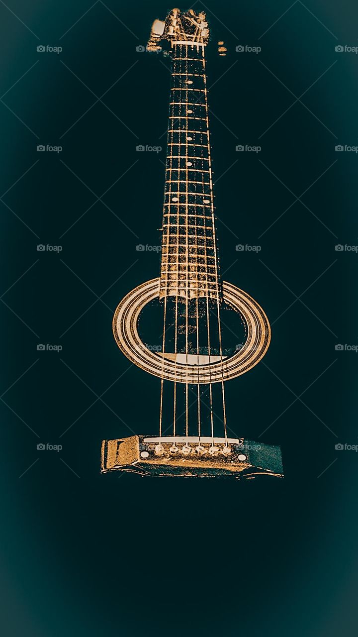 Guitar