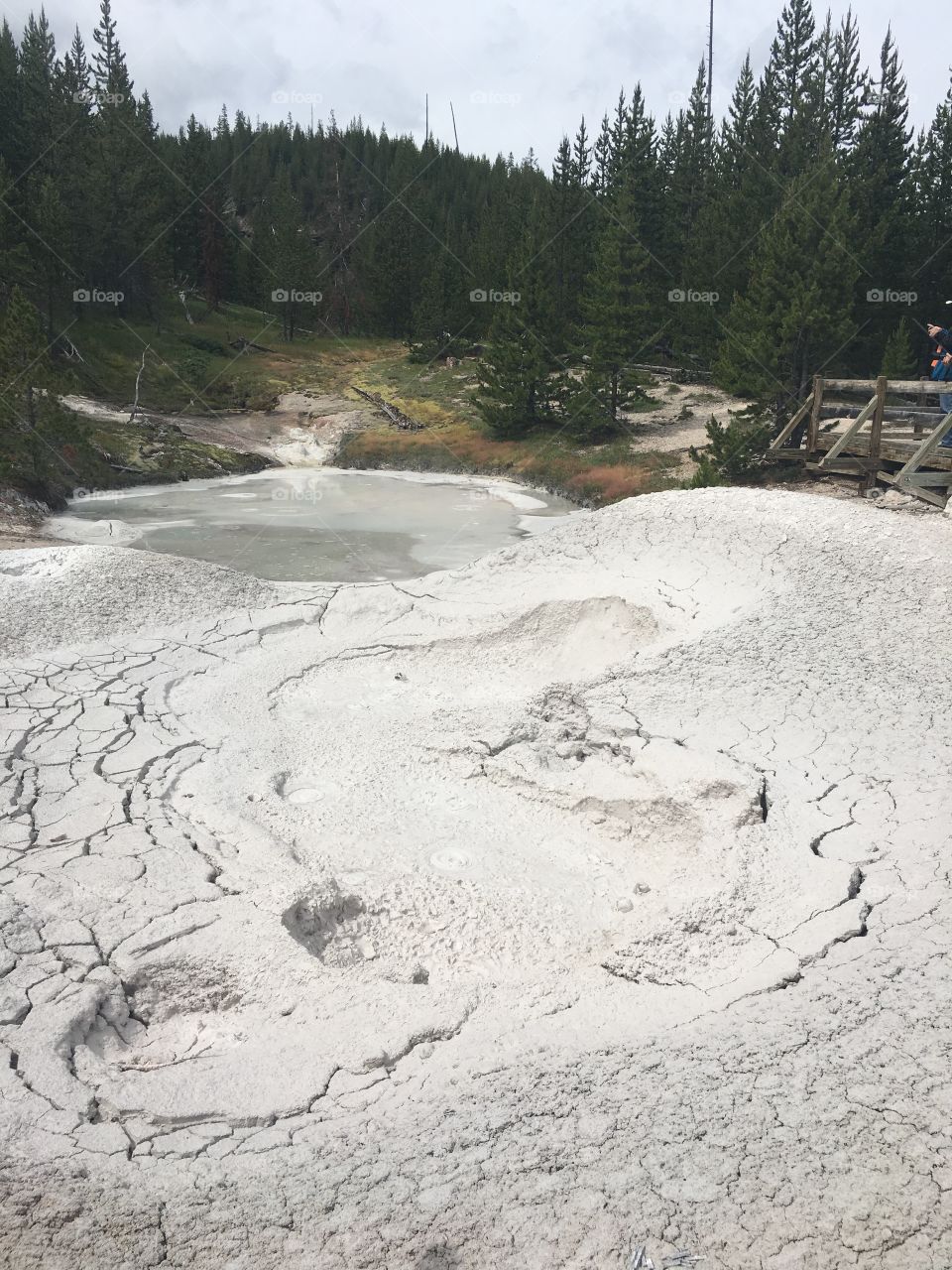 Yellowstone White Clay Geysers