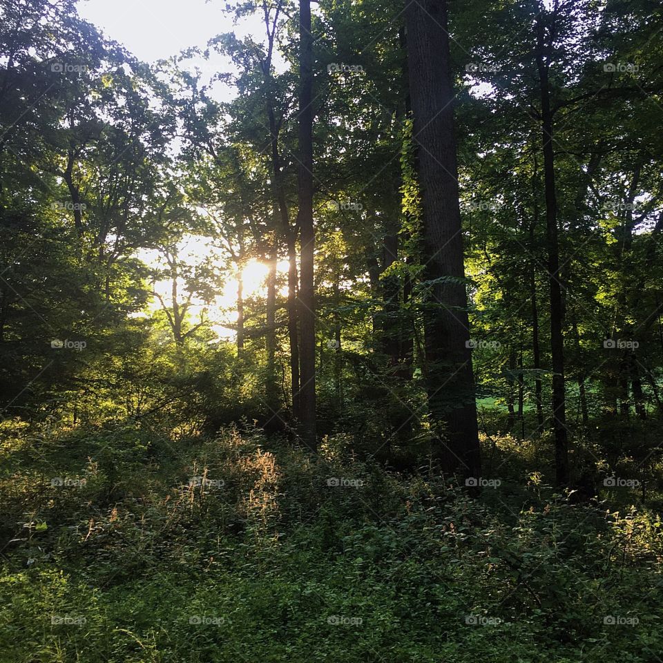 Sunrise run feels so good! 