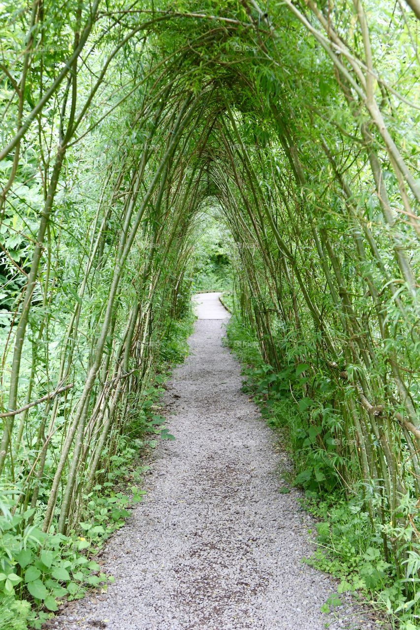 Natures Pathway