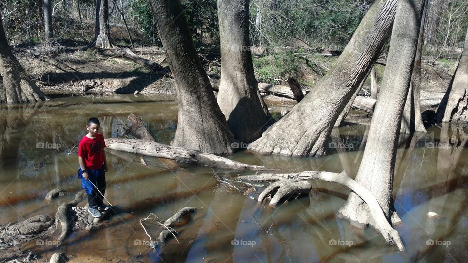 Water, Tree, Nature, Wood, River