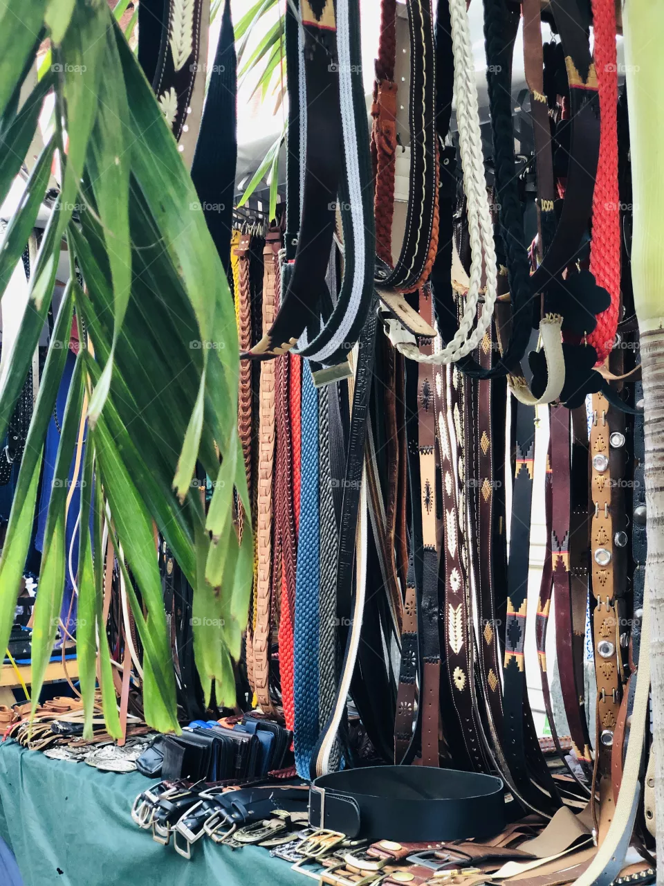 Belt