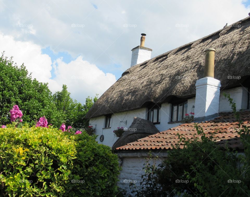 thatched cottage