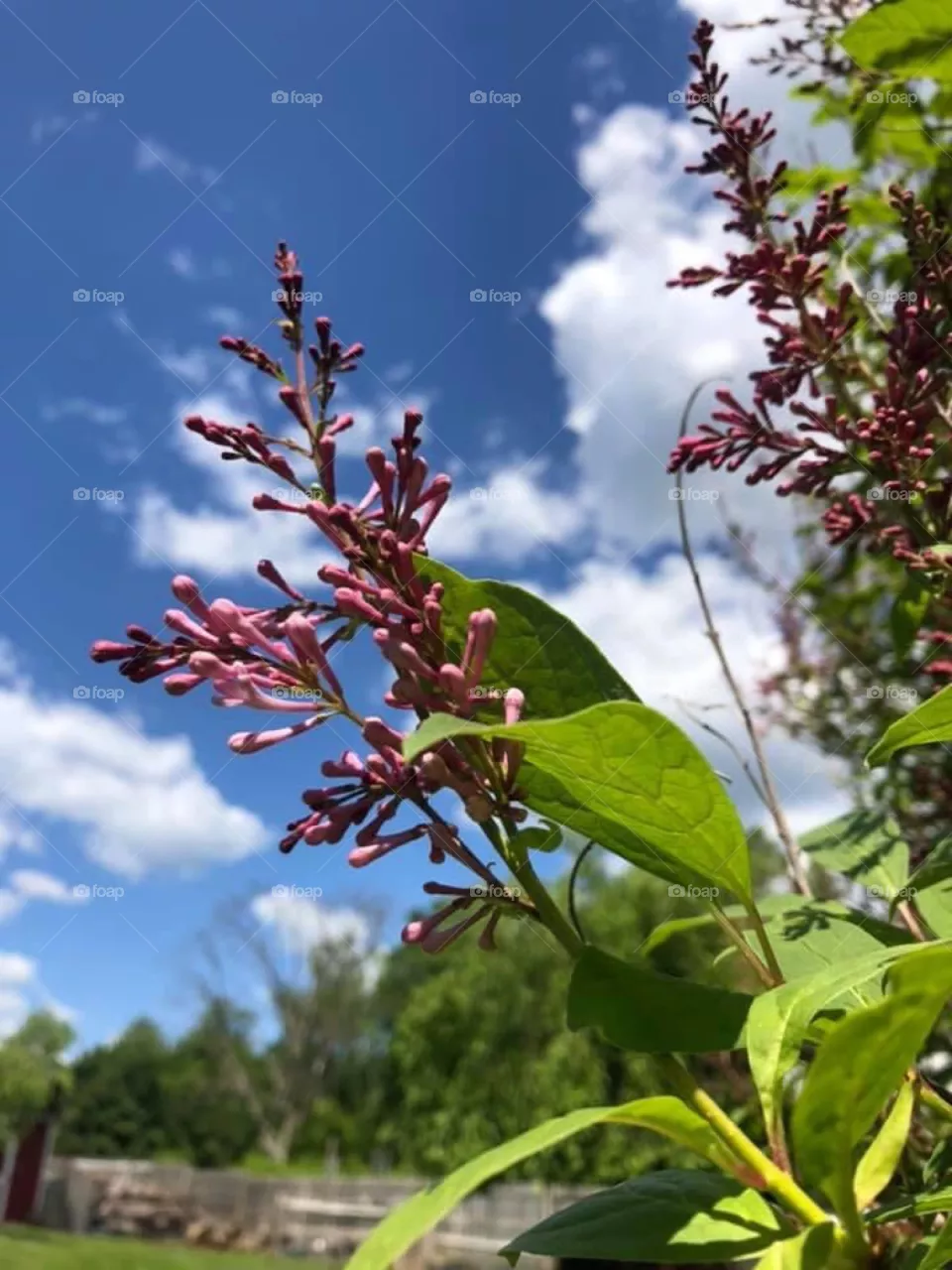 When spring talks