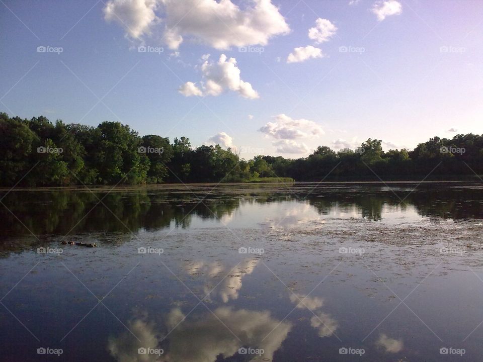 Water Reflection