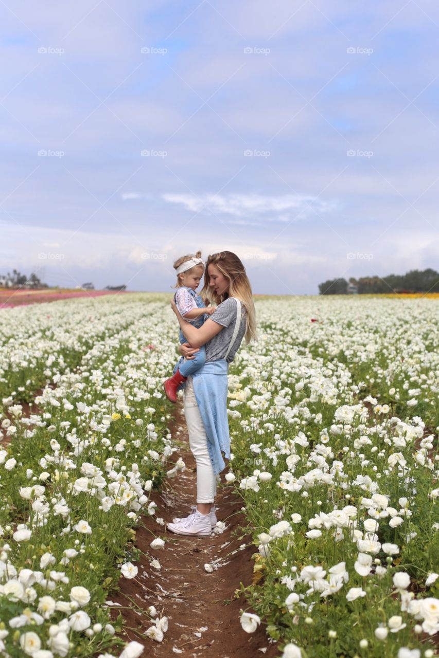 Flower, Outdoors, Summer, Nature, Grass