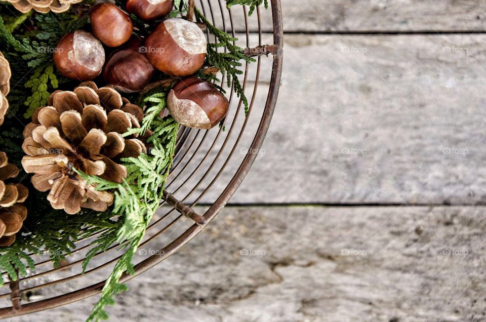 Organic centerpiece. Decorating for the holidays with organic backyard materials