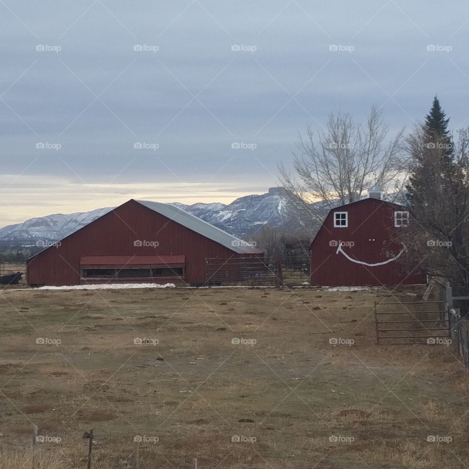 Barn, No Person, Landscape, Farm, Hut
