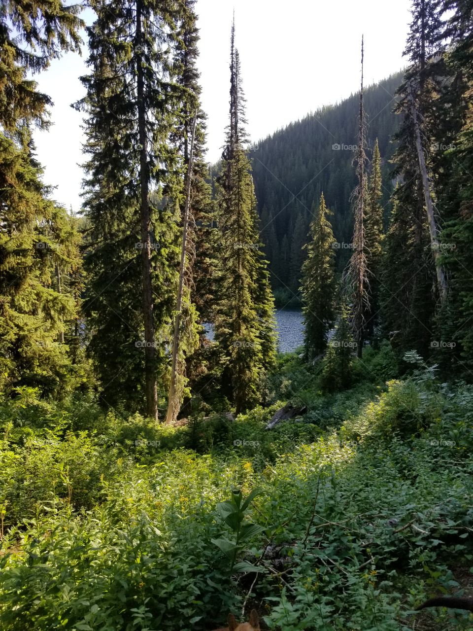 Mountain lakes in Montana