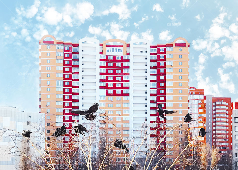 Birds flying over the Colorful city architecture 