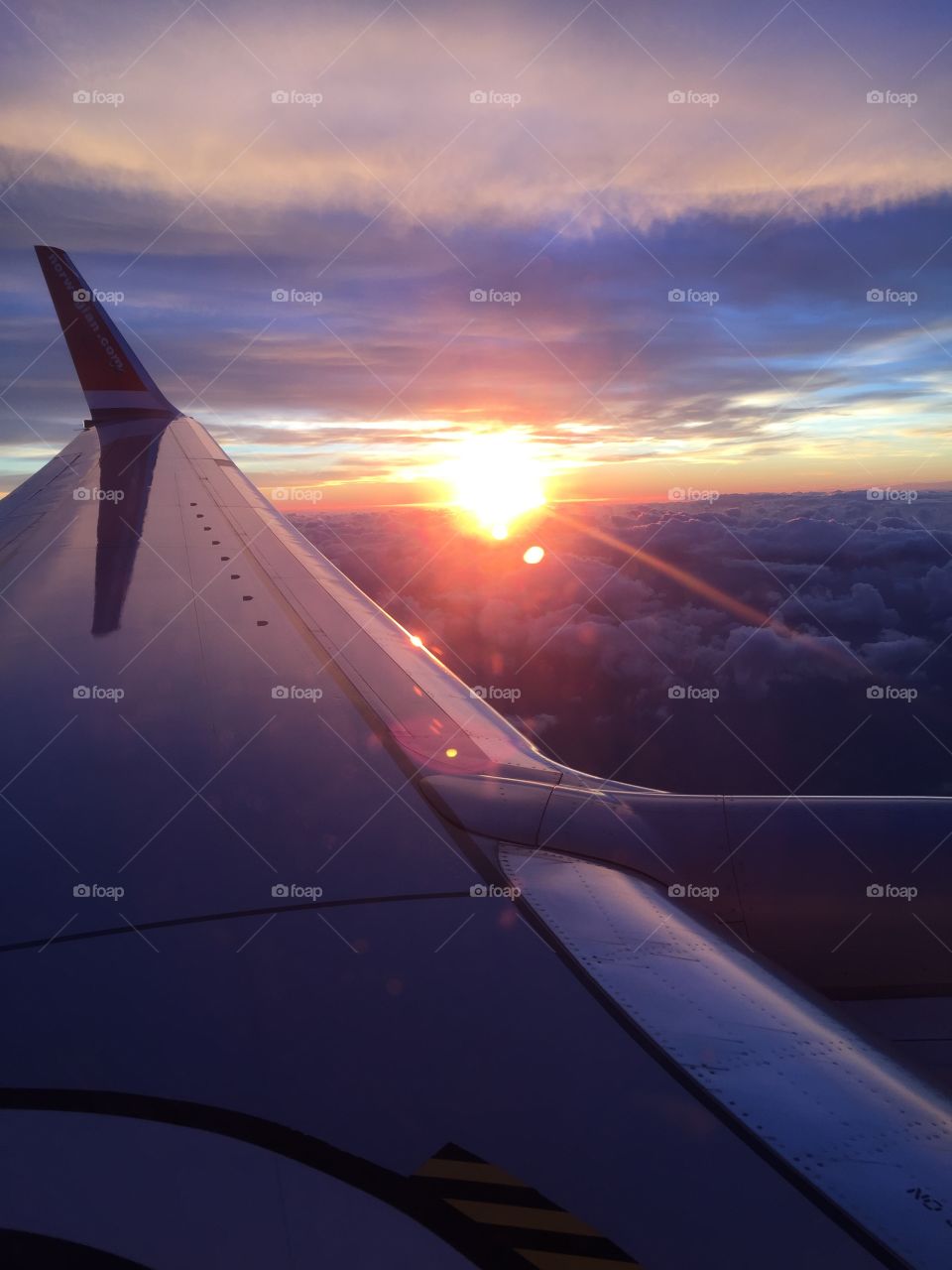 View from airplane window