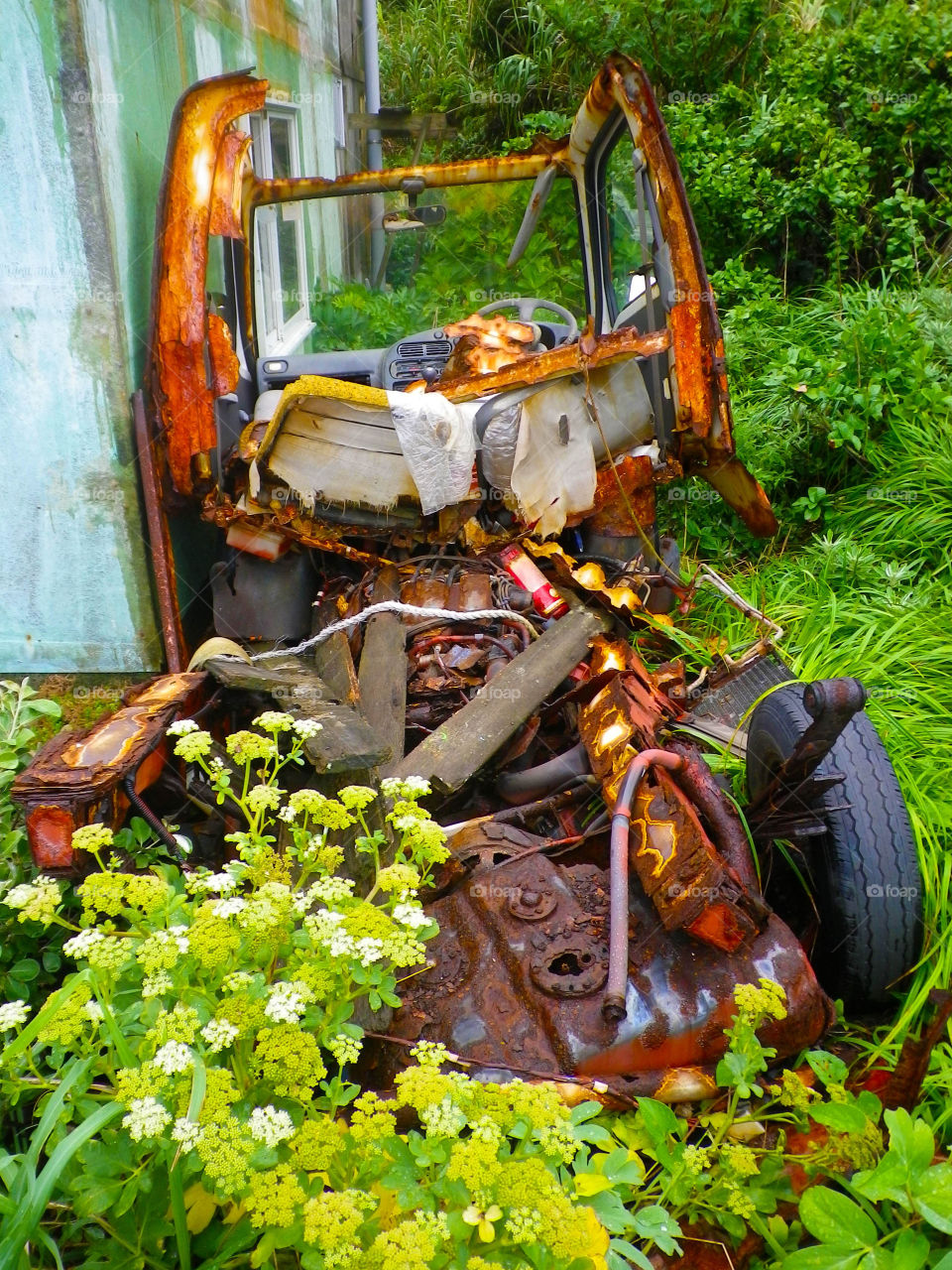 green flowers nature car by hugo