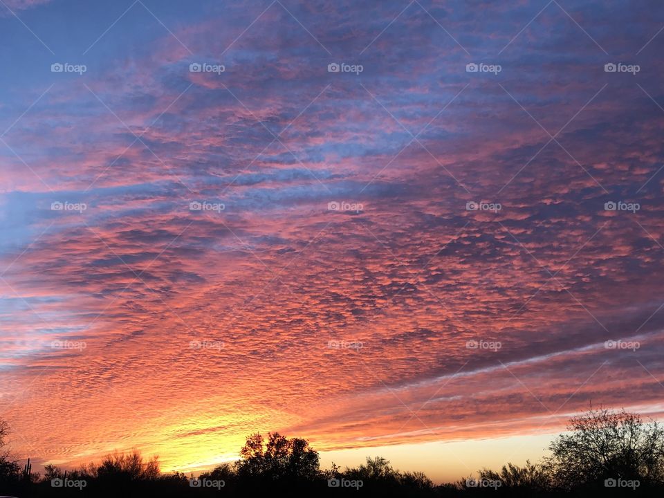 Glorious Arizona Sunset