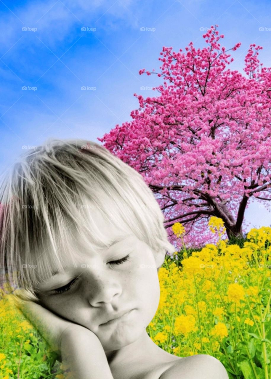 image blending for imagination