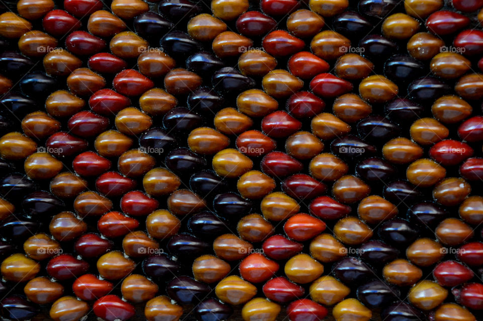 Seeds used by indigenous people from Brazil