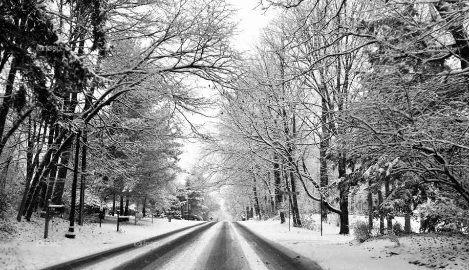 Snowy road in winter 