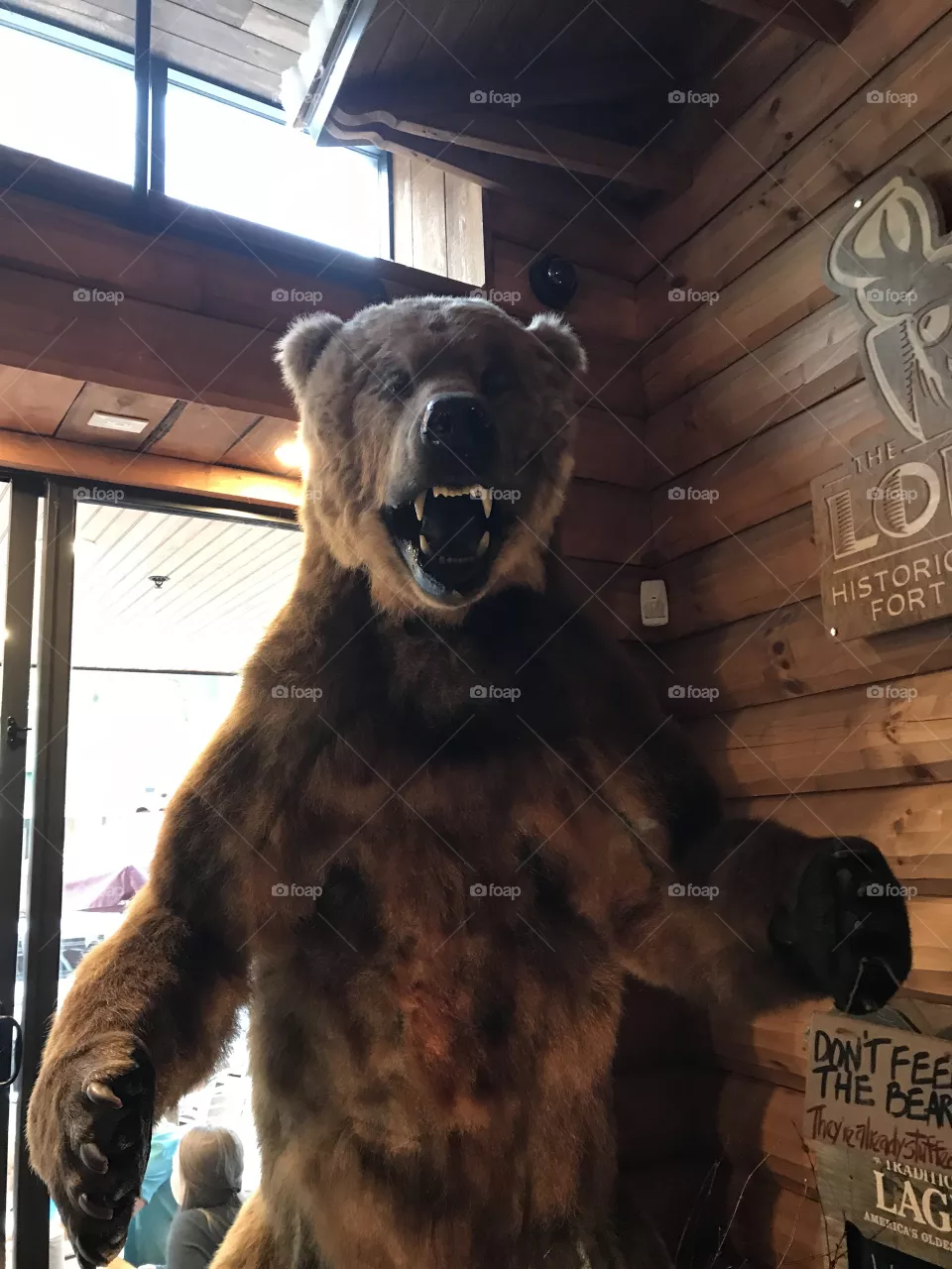 Roar
