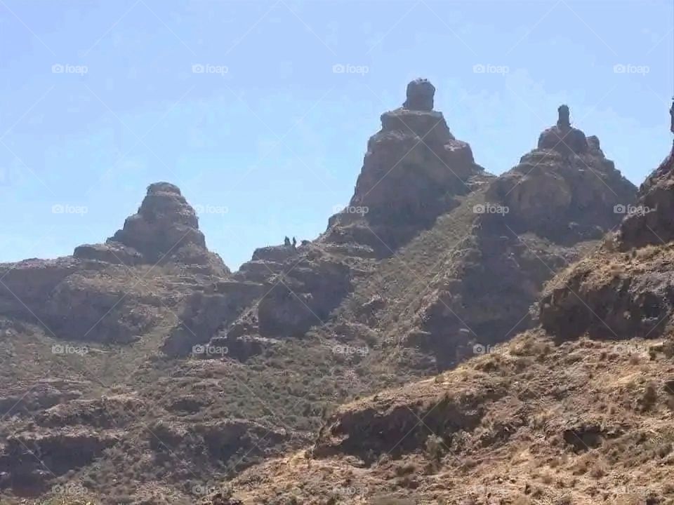 A very beautiful picture, and there is no better picture than it. There is no better picture of green herbs and colorful, red and white roses than it. Glory be to God, the natural and picturesque view, and there is no more