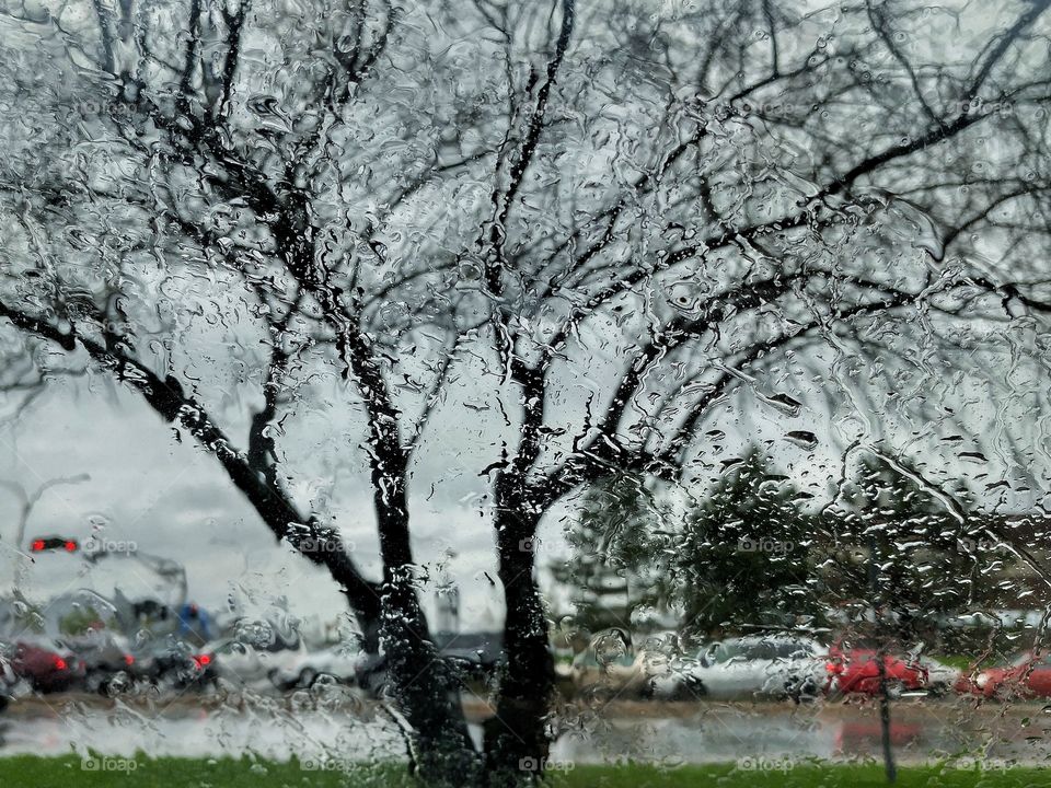 Raindrops on window tree view
