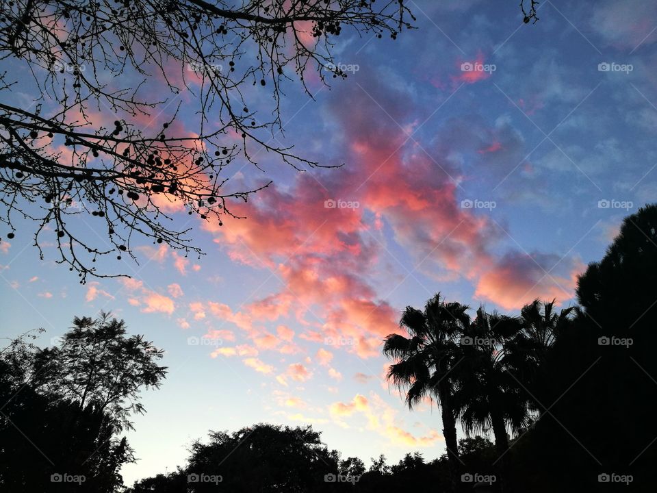 Stunning sky through silhouettes