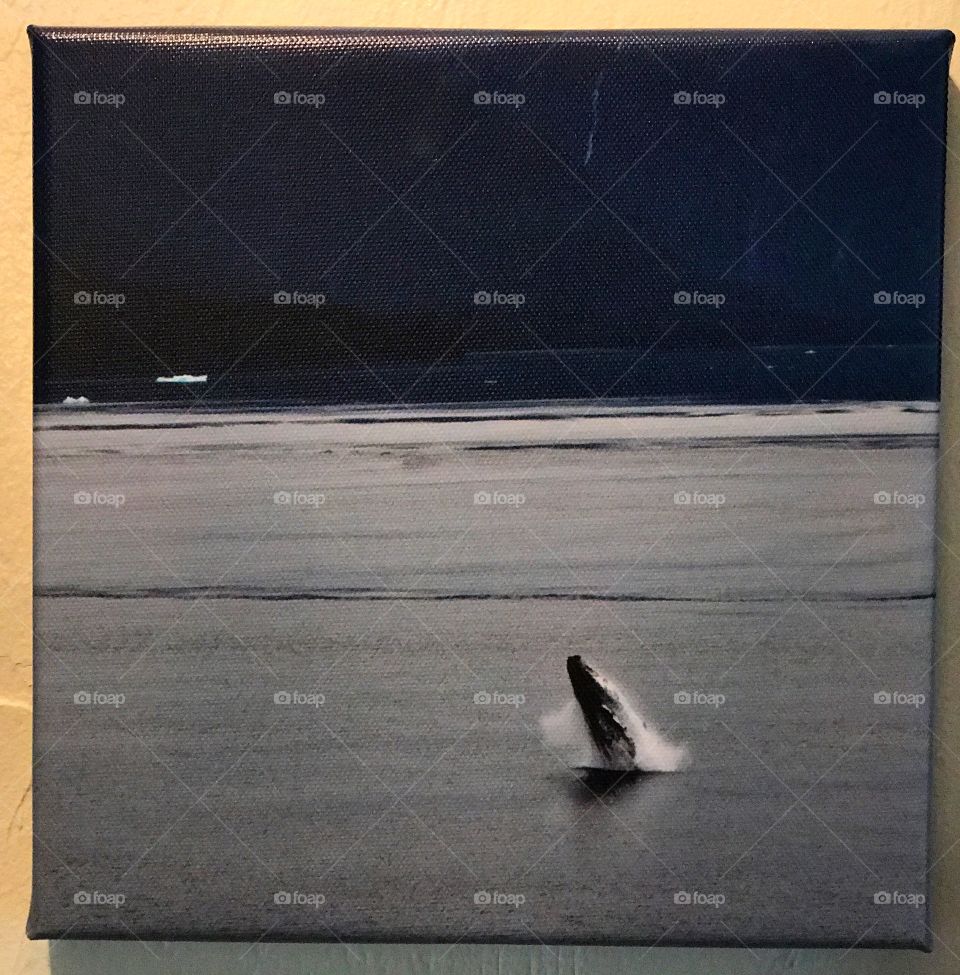 Whale Watching Souvenir