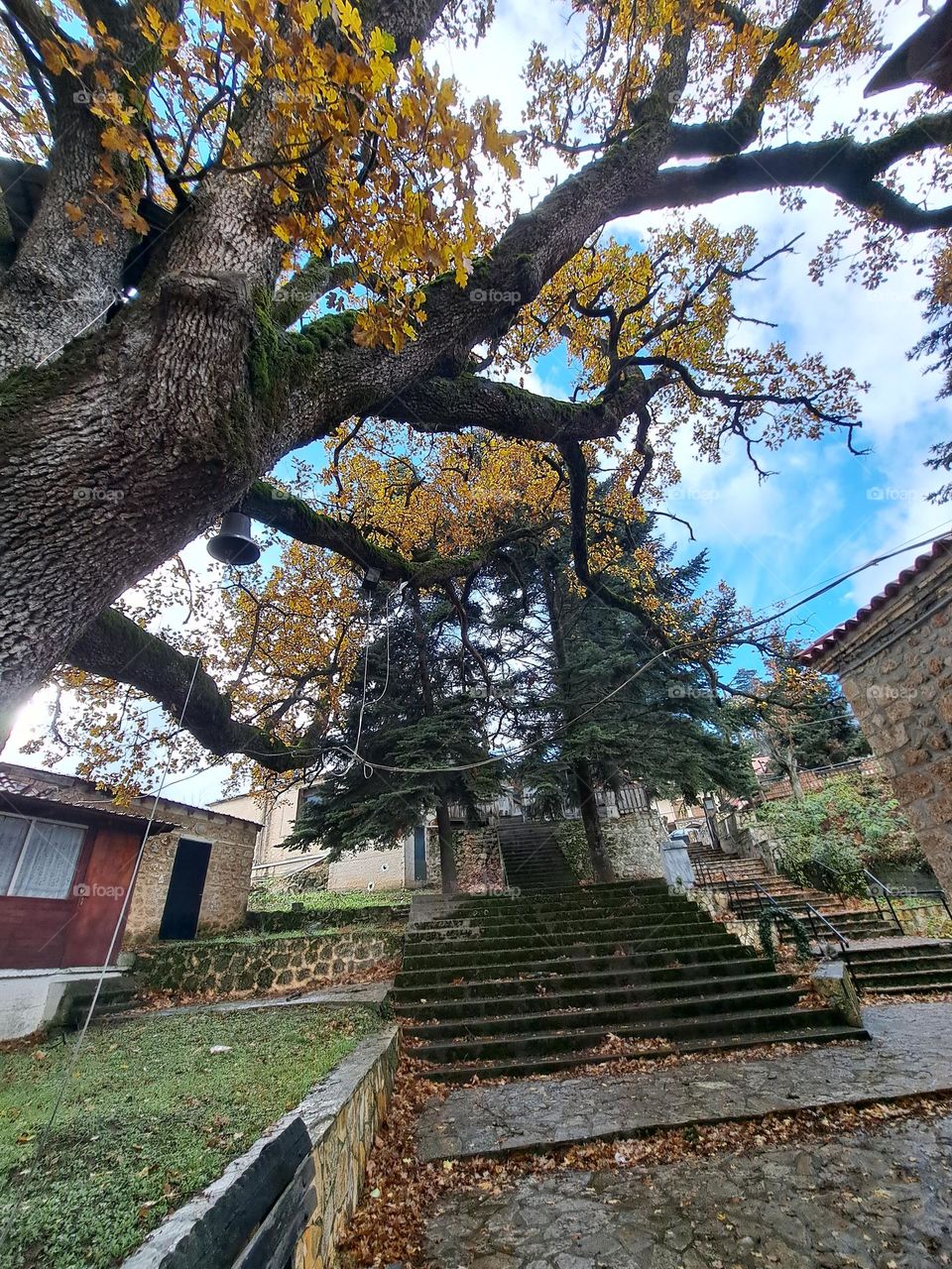 Greece Trikala Korintheas trees mountain