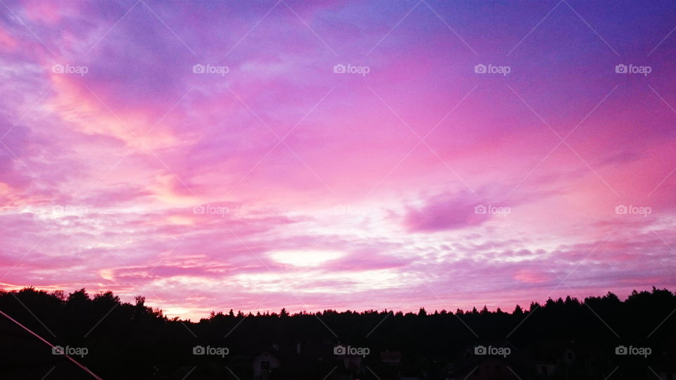 Beautiful pink summer sunset landscape 