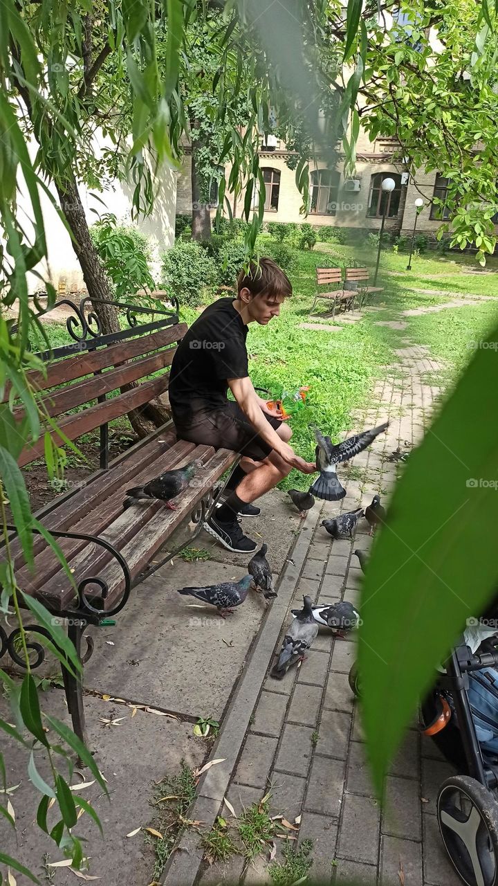 boy feeding birds