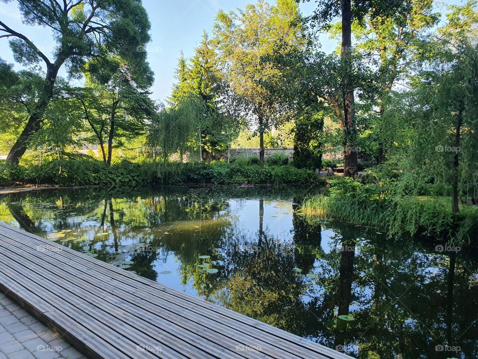 Beautiful nature of the botanical garden in Estonia. Refreshing landscape and nice view are waiting for you here.